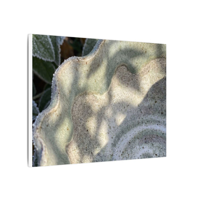 Dappled Ceramic Bowl Canvas Art - Japandi Seijaku