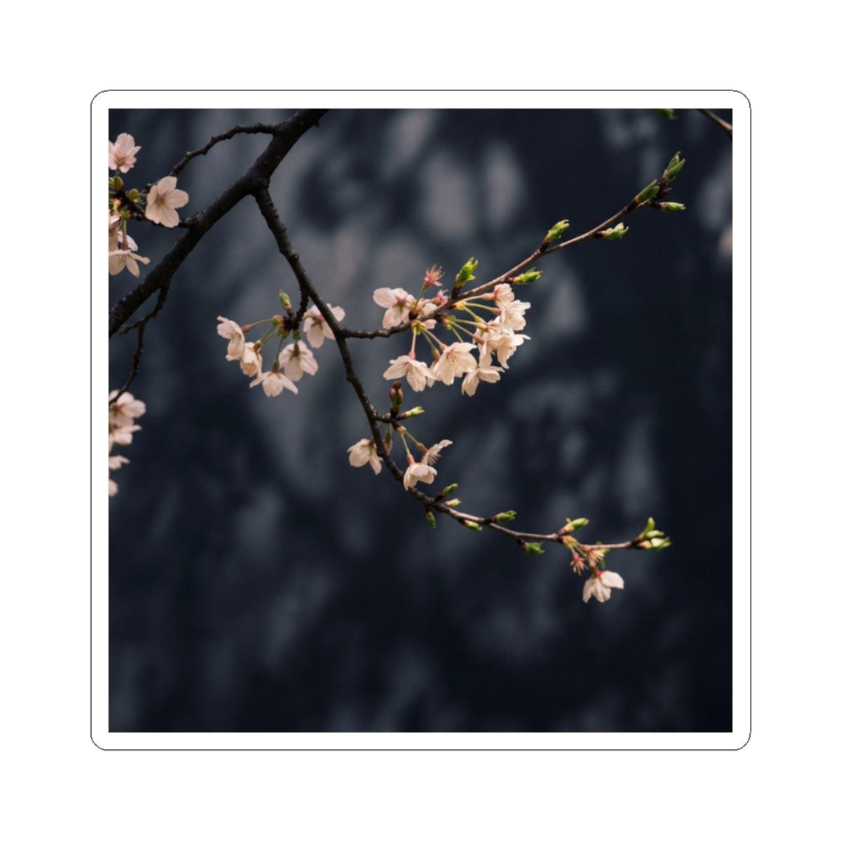 Ma Cherry Blossom Sticker - Dark Japandi Moody Minimal