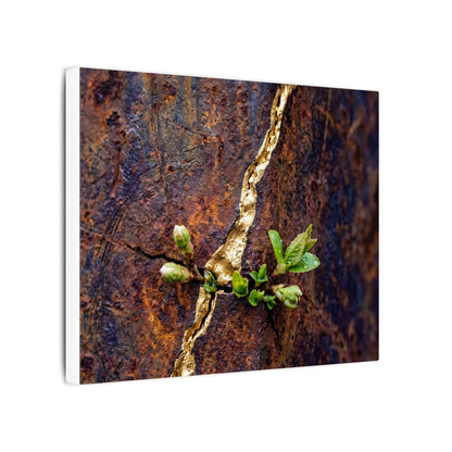 Overcast Rust Patina Canvas Art - Kintsugi Datsuzoku