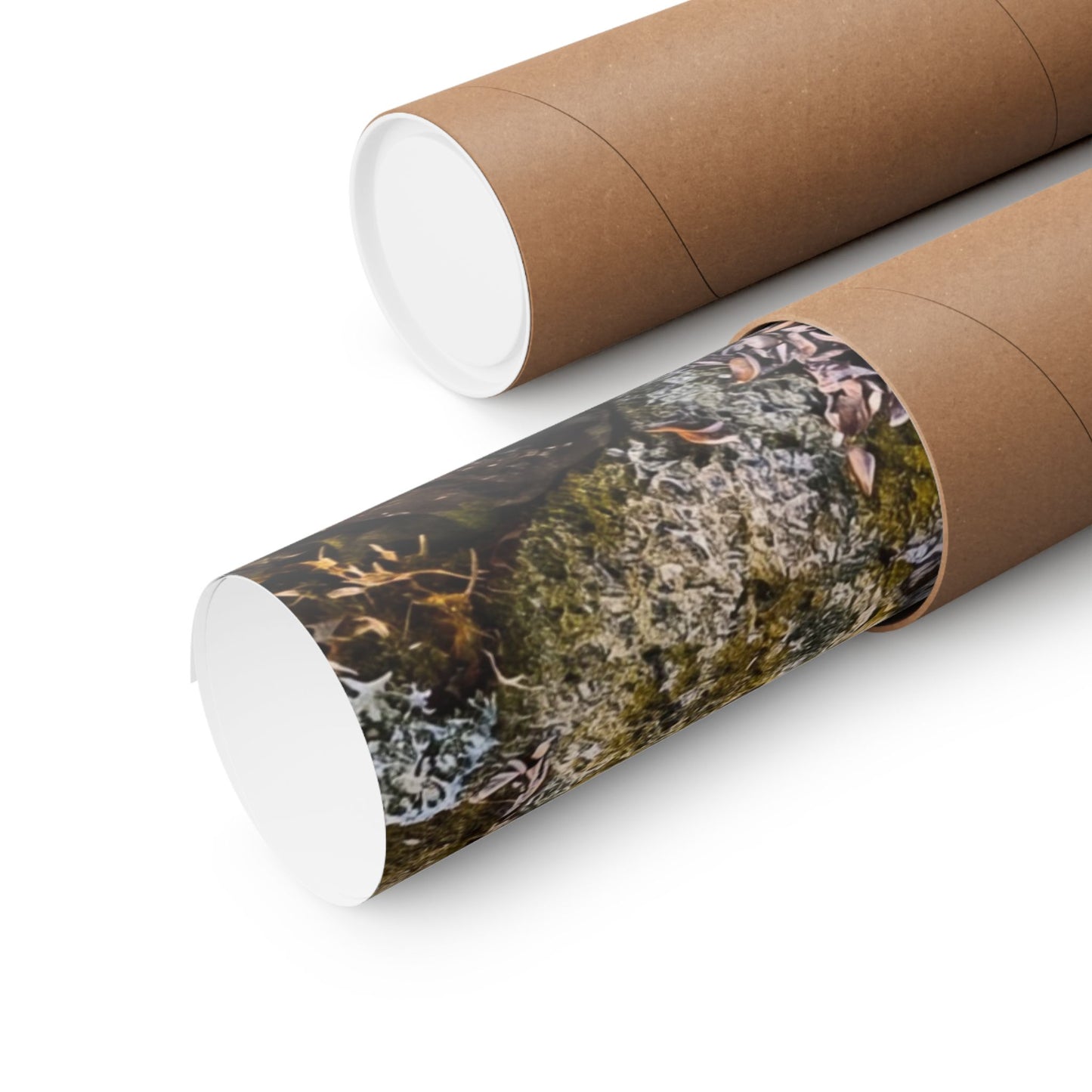 Seijaku Rock Garden Wall Art Print - Zen Enso