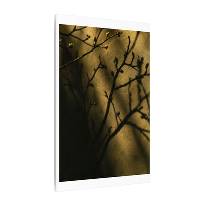 Golden Hour Shadow Play Canvas Art - Dark Japandi Seijaku