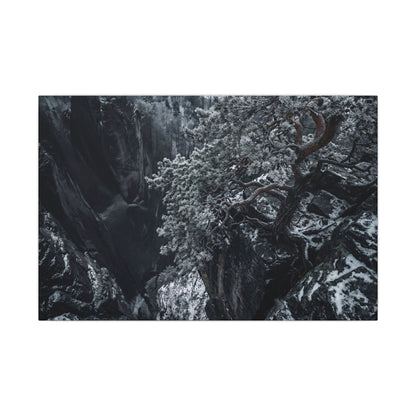 Dark Japandi Pine Tree in Dappled | Dark Texture Canvas Art