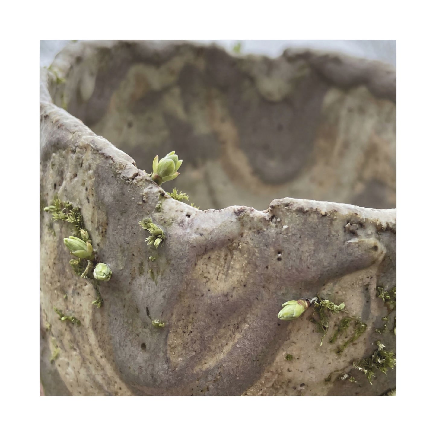 Overcast Ceramic Bowl Canvas Art - Japandi Fukinsei