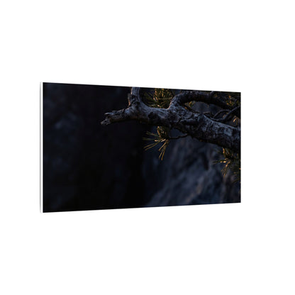 Pine Tree Moody Minimal Canvas Art | Sophisticated Dark Japandi Art