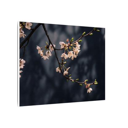 Cherry Blossom Moody Minimal Canvas Art | Bold Dark Japandi Art