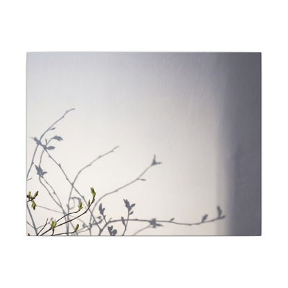 Japandi Shadow Play in Dawn | Japanese Pattern Canvas Art