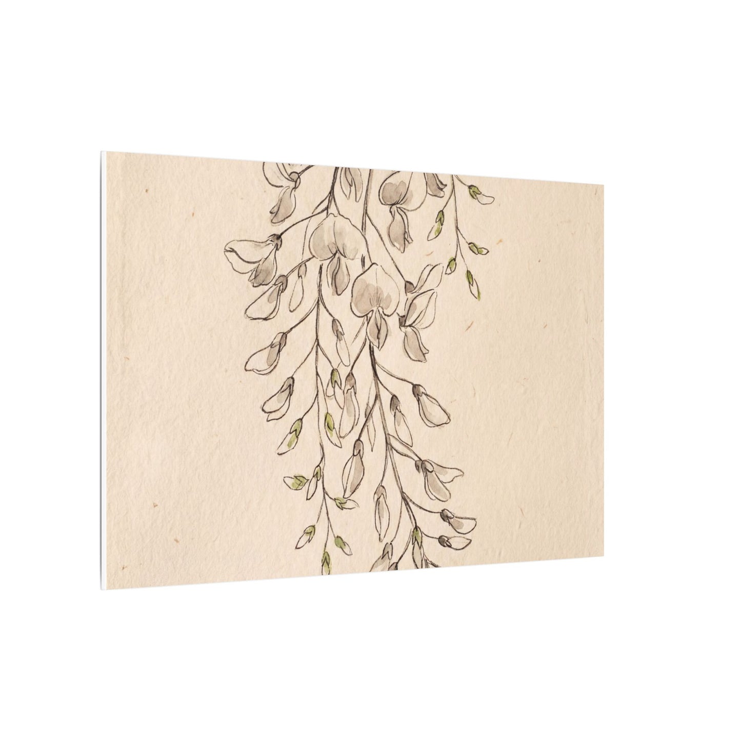 Japandi Wisteria in Golden Hour | Minimal Line Canvas Art