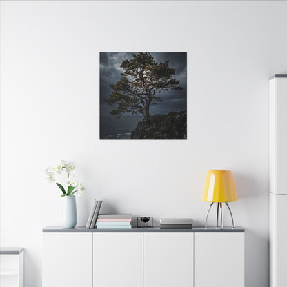 Dappled Pine Tree Canvas Art - Dark Japandi Fukinsei