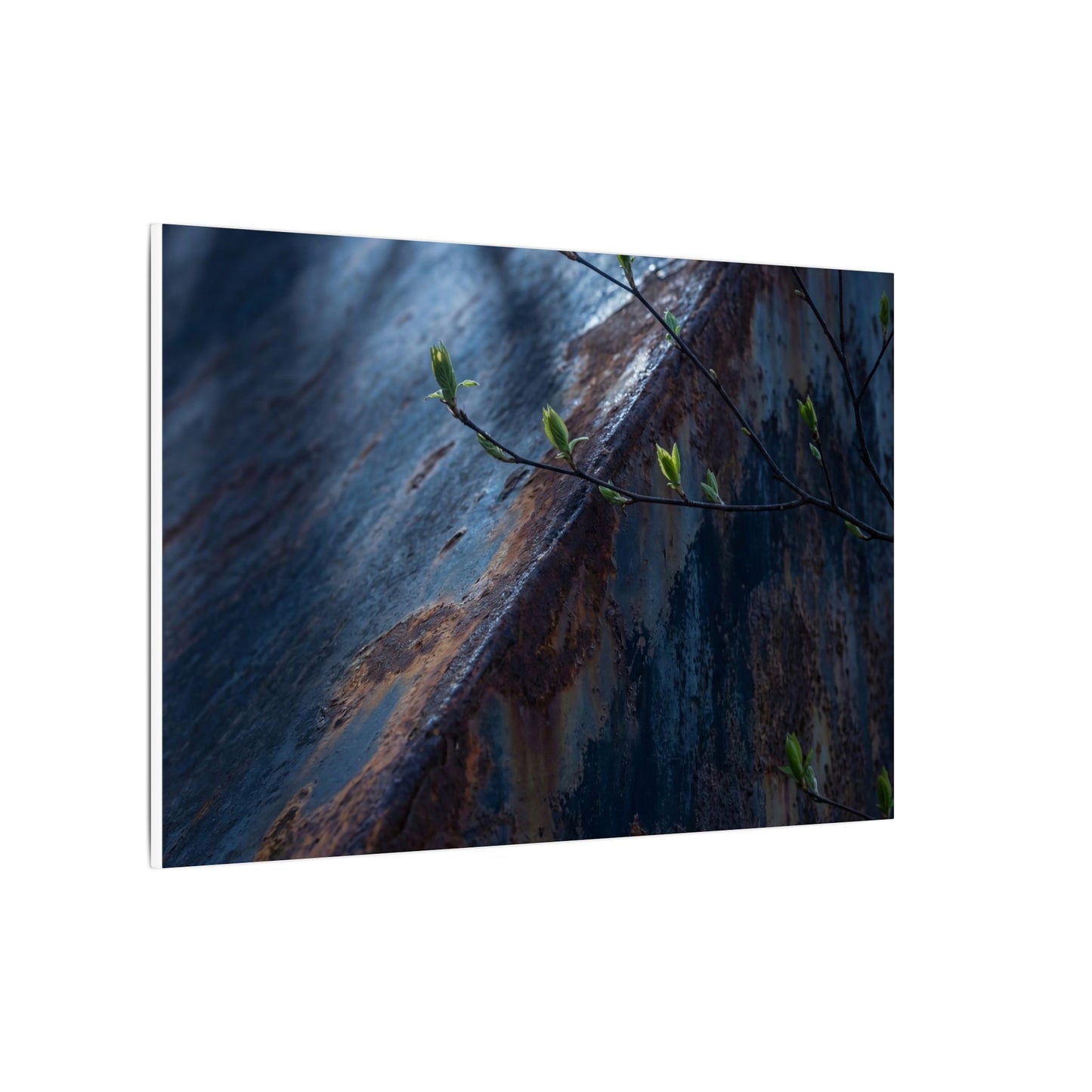 Rust Patina Canvas Art | Spring Dark Japandi Shadow Zen Art