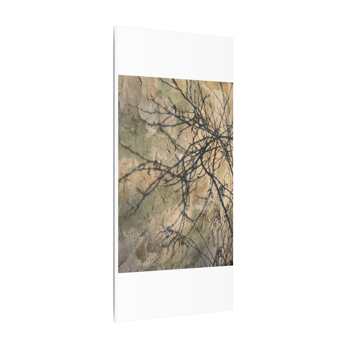 Japandi Shadow Play in Golden Hour | Texture Canvas Art