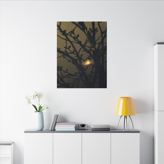 Bold Shadow Play Canvas Art - Moody Minimal Dark Japandi Art Print