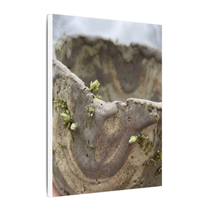 Overcast Ceramic Bowl Canvas Art - Japandi Fukinsei