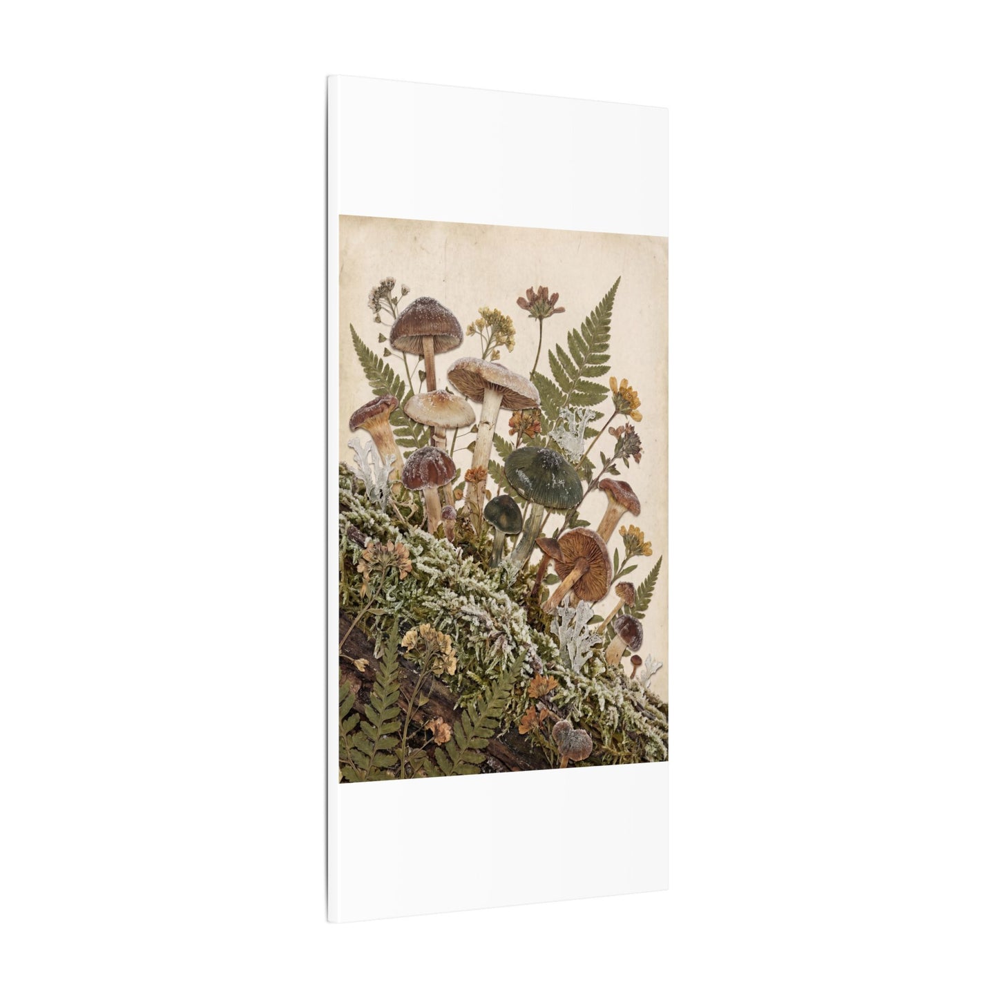 Winter Wild Mushrooms Herbarium Canvas Art | Enchanting Decor