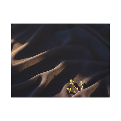 Silk Drape Shadow Zen Canvas Art | Luxurious Dark Japandi Art Art Print