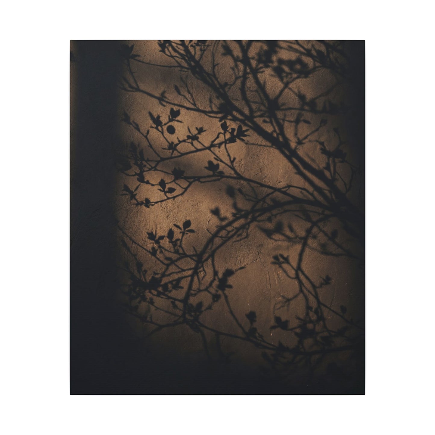 Dark Japandi Shadow Play in Golden Hour | Shadow Zen Canvas Art