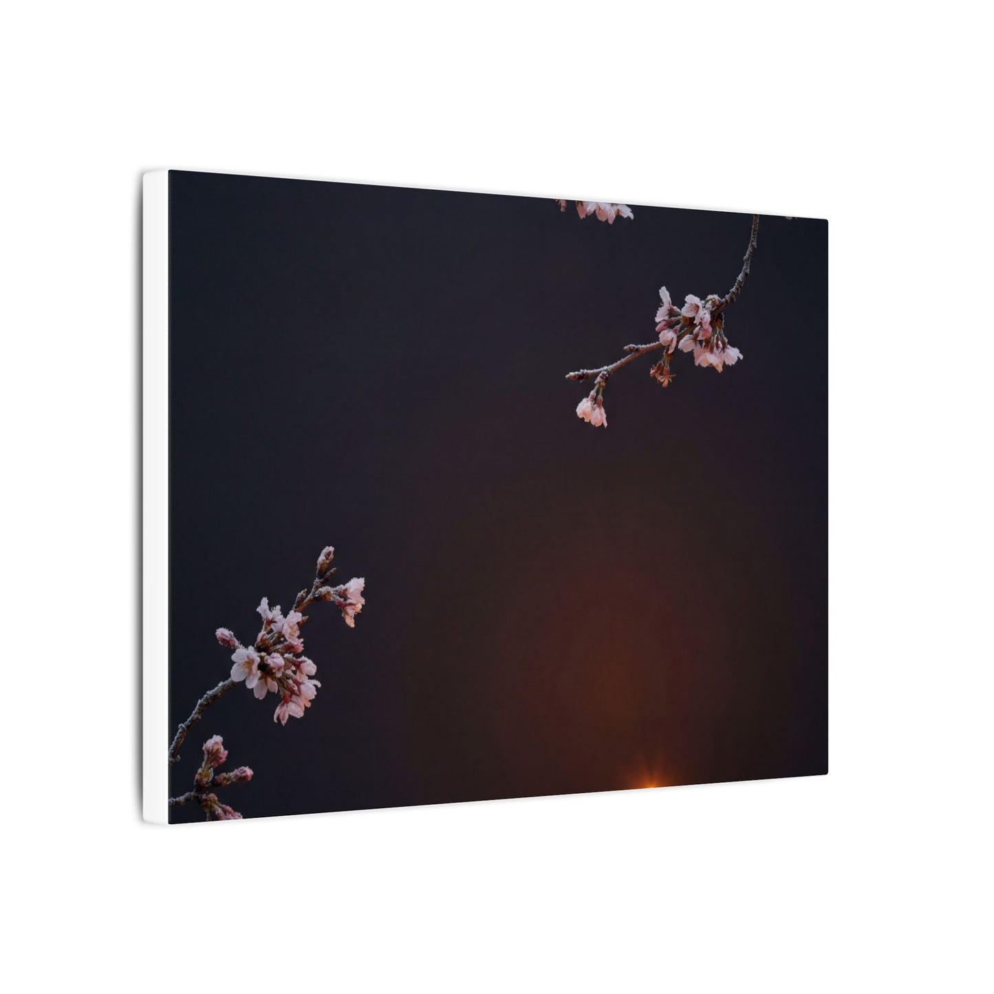 Dark Japandi Cherry Blossom in Candlelight | Moody Minimal Canvas Art