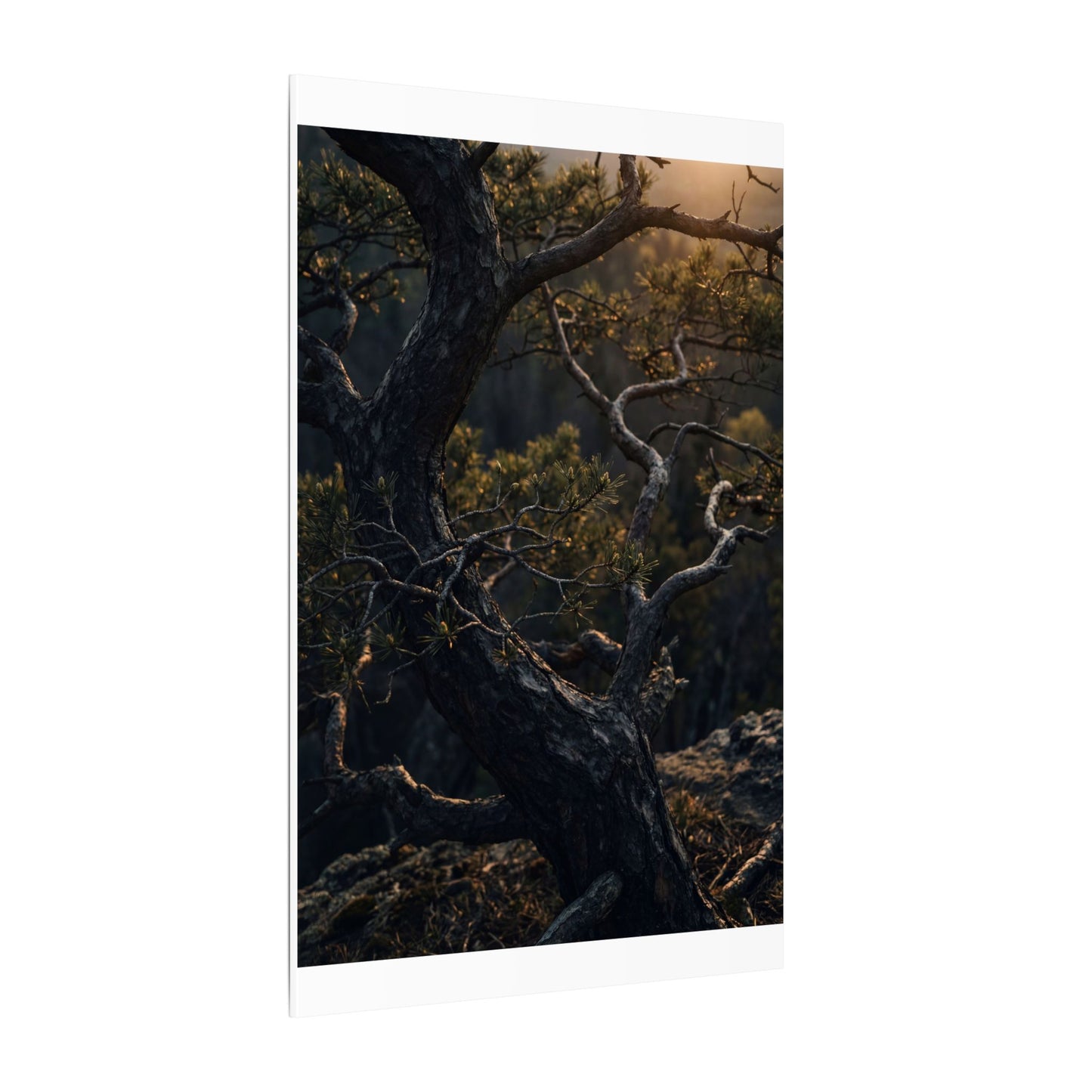 Moody Pine Tree Canvas Art - Moody Minimal Dark Japandi