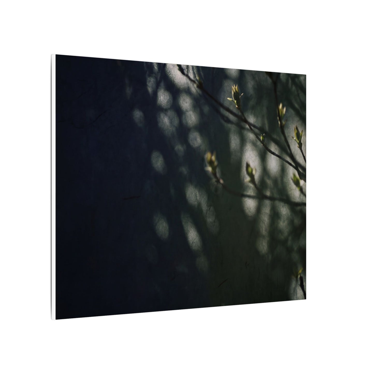 Dark Japandi Shoji Screen in Dappled | Moody Minimal Canvas Art