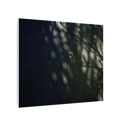Dark Japandi Shoji Screen in Dappled | Moody Minimal Canvas Art