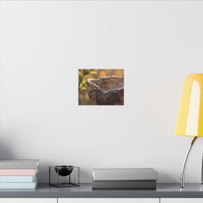 Golden Hour Ceramic Bowl Canvas Art - Dark Japandi Ma