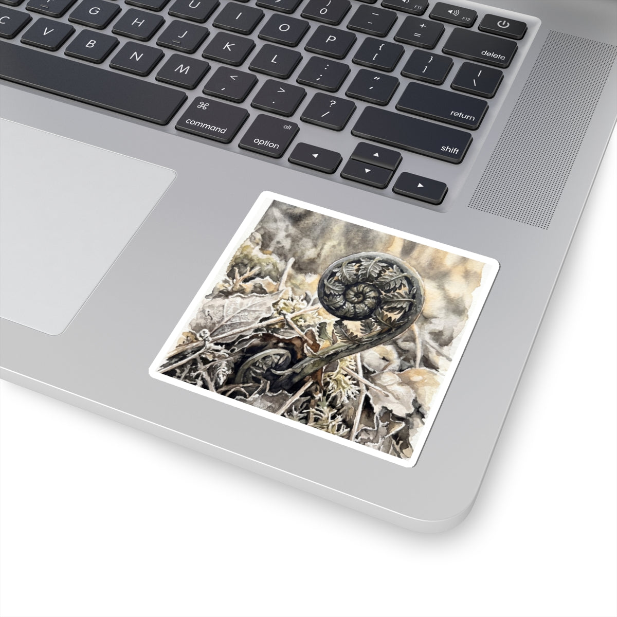 Cozy Fern Unfurling Sticker - Watercolor Japandi