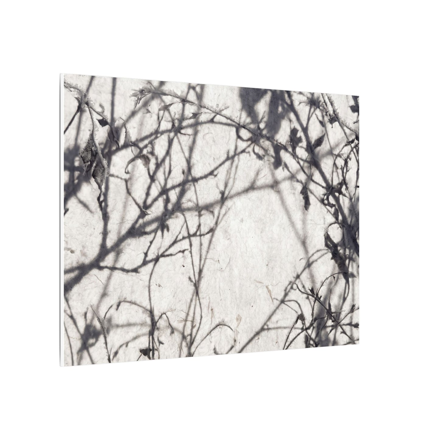 Winter Shadow Play Japanese Pattern Canvas Art | Elegant Decor