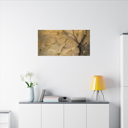 Cracked Earth Spring Canvas Art | Japandi Warm Design