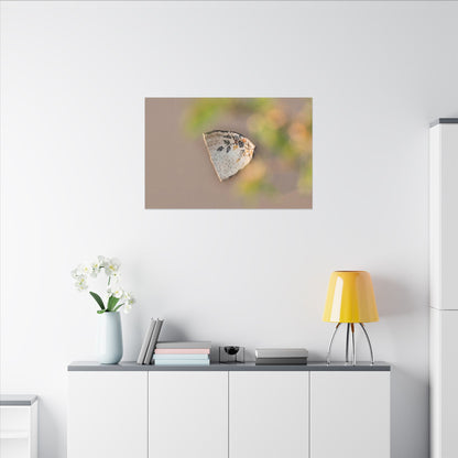 Ceramic Bowl Canvas Art | Spring Japandi Japanese Pattern Art