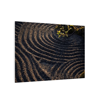 Spring Rock Garden Shadow Zen Canvas Art | Atmospheric Decor