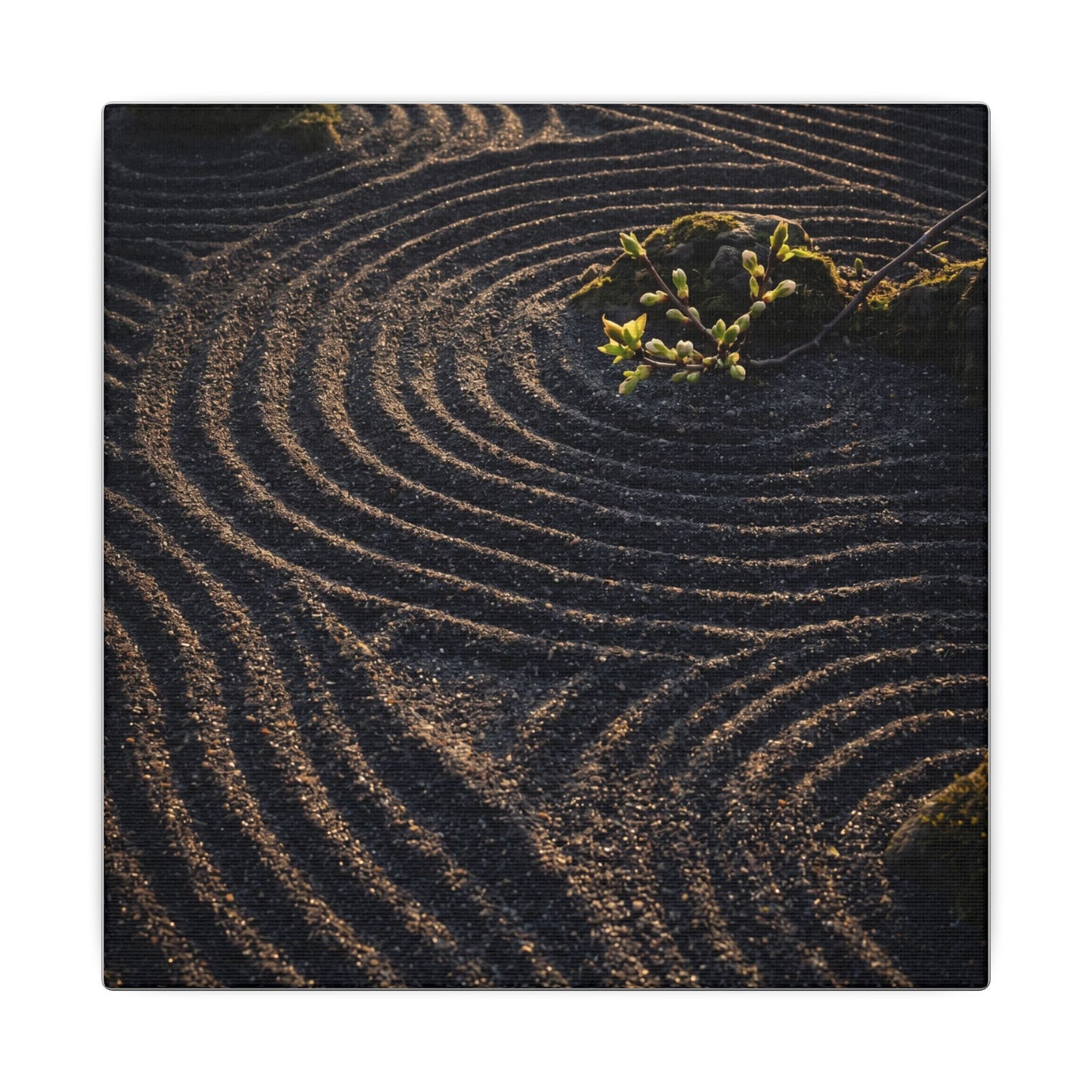 Spring Rock Garden Shadow Zen Canvas Art | Atmospheric Decor