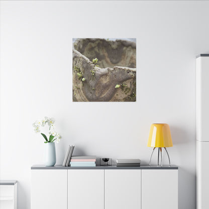 Overcast Ceramic Bowl Canvas Art - Japandi Fukinsei