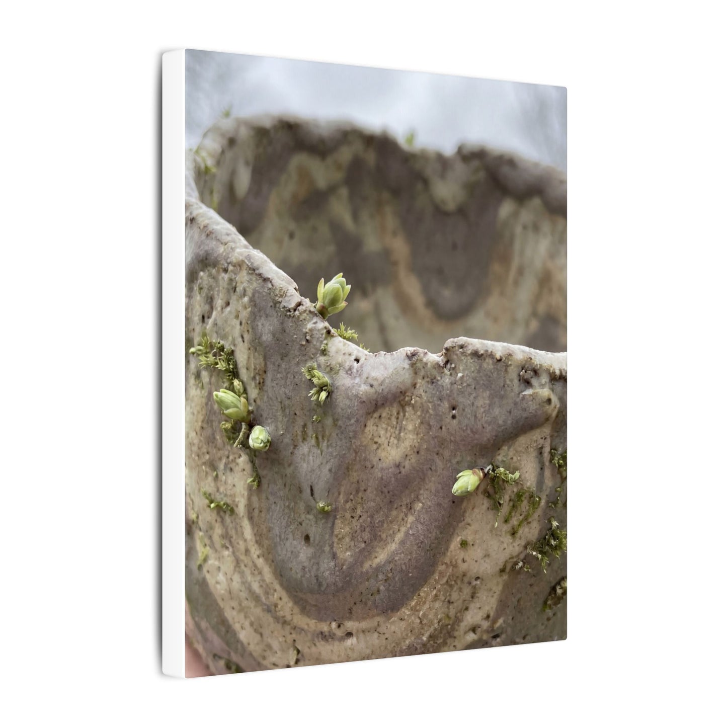 Overcast Ceramic Bowl Canvas Art - Japandi Fukinsei