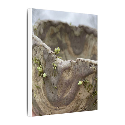 Overcast Ceramic Bowl Canvas Art - Japandi Fukinsei