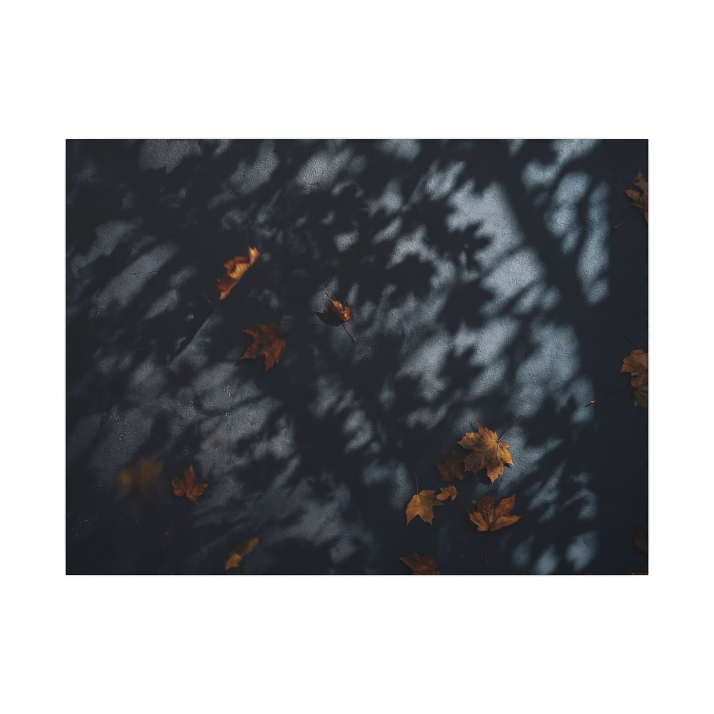 Autumn Shadow Play Shadow Zen Canvas Art | Atmospheric Decor Art Print