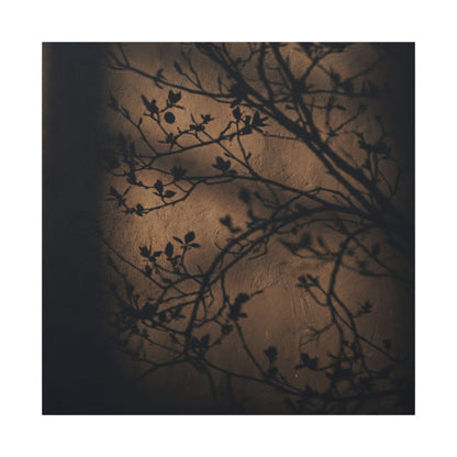 Dark Japandi Shadow Play in Golden Hour | Shadow Zen Canvas Art