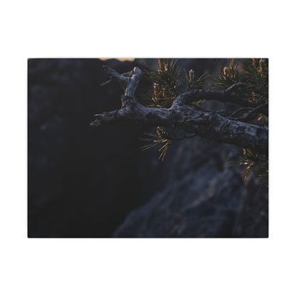 Pine Tree Moody Minimal Canvas Art | Sophisticated Dark Japandi Art Art Print