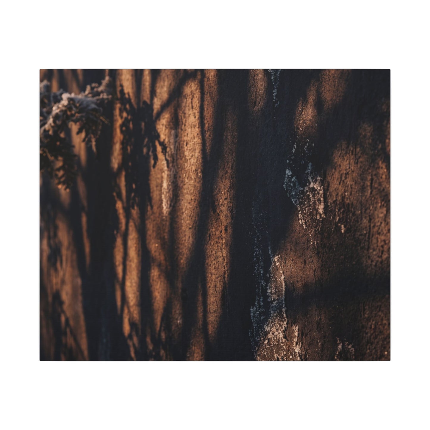 Golden Hour Shadow Play Canvas Art - Dark Japandi Fukinsei
