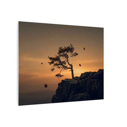 Dark Japandi Pine Tree in Golden Hour | Moody Minimal Canvas Art