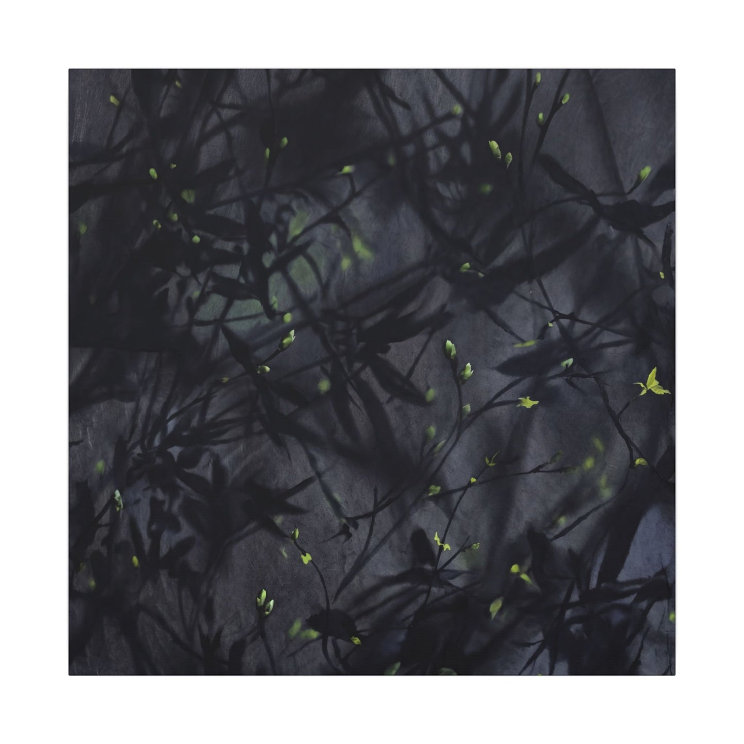Shadow Play Spring Canvas Art | Dark Japandi Atmospheric Design