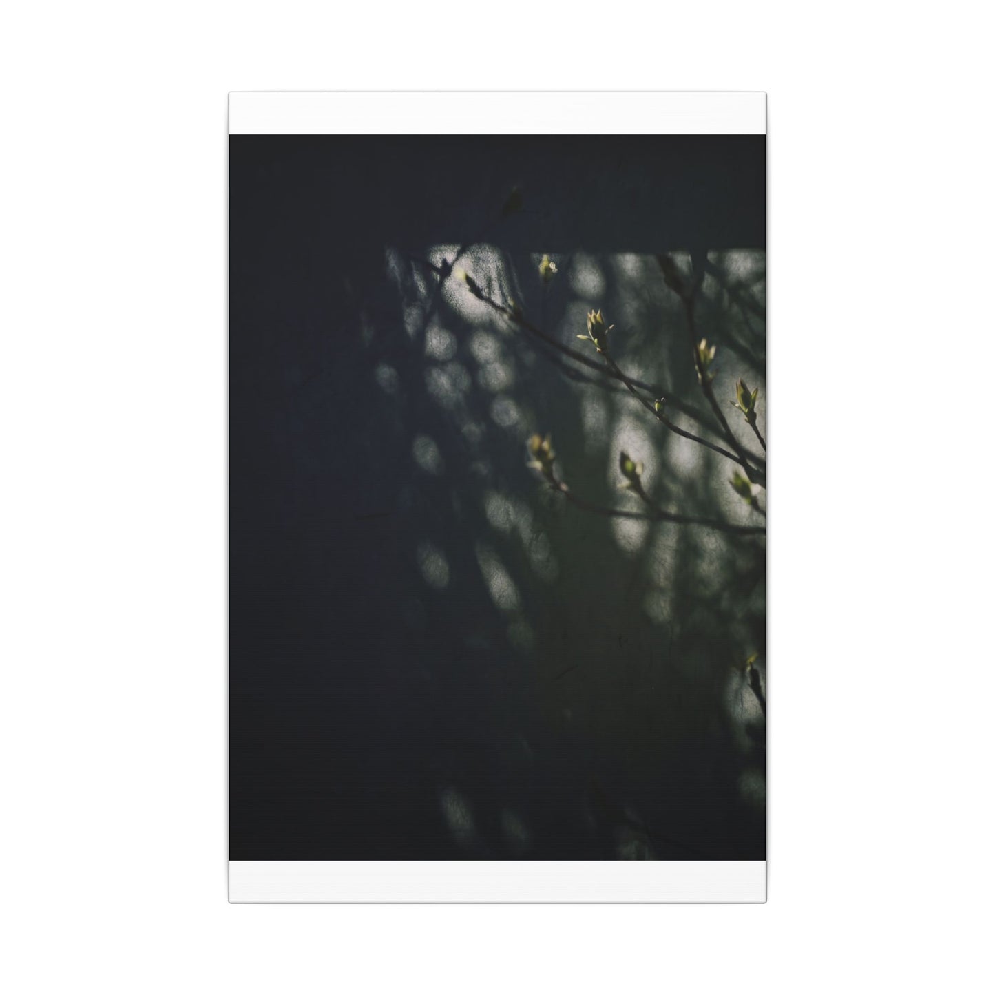 Dark Japandi Shoji Screen in Dappled | Moody Minimal Canvas Art