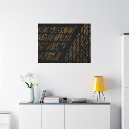 Dark Japandi Shadow Play in Golden Hour | Moody Minimal Canvas Art