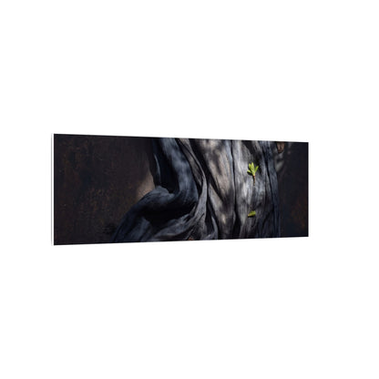 Seijaku Silk Drape Canvas Art - Dark Japandi Dark Texture