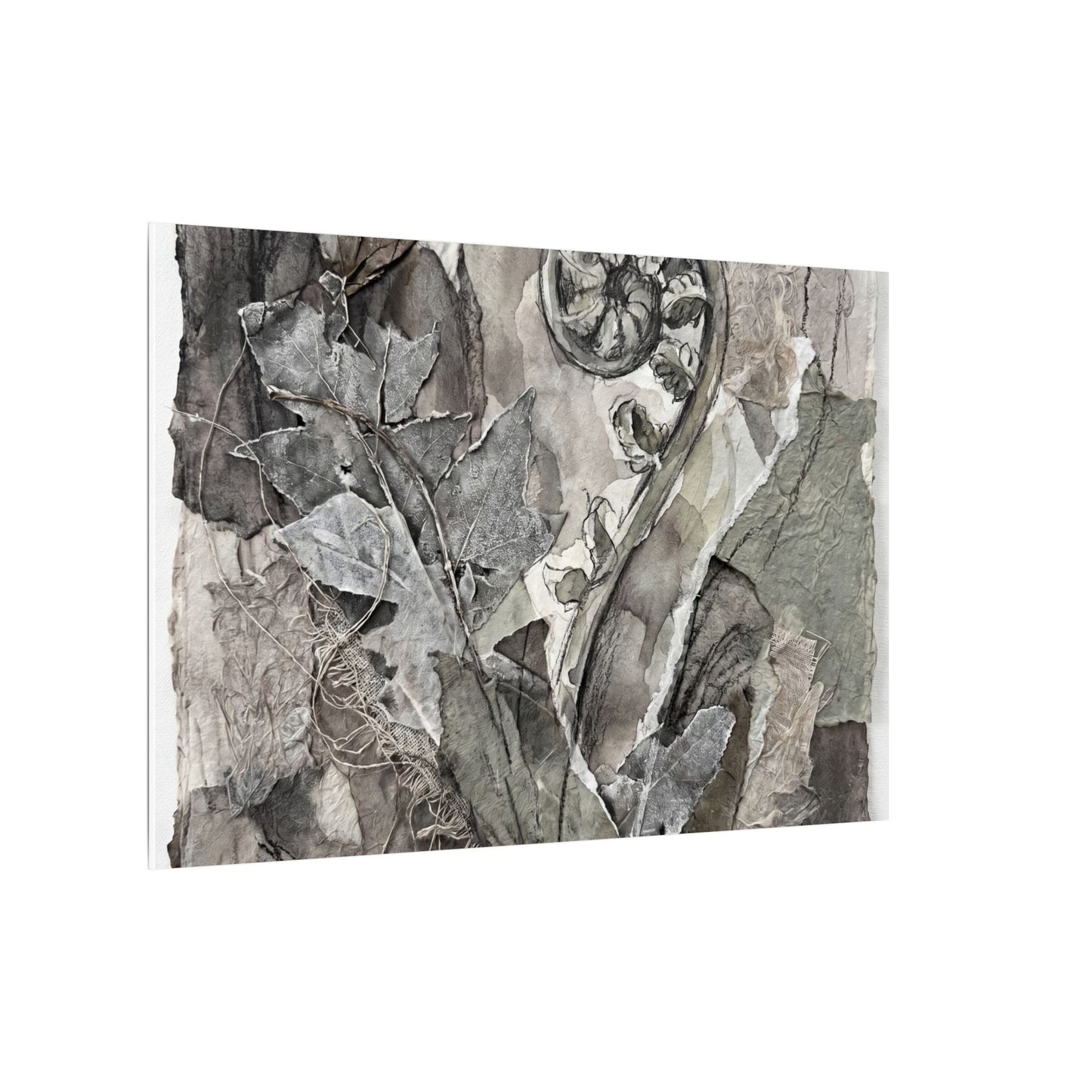 Japandi Fern Unfurling in Overcast | Texture Canvas Art