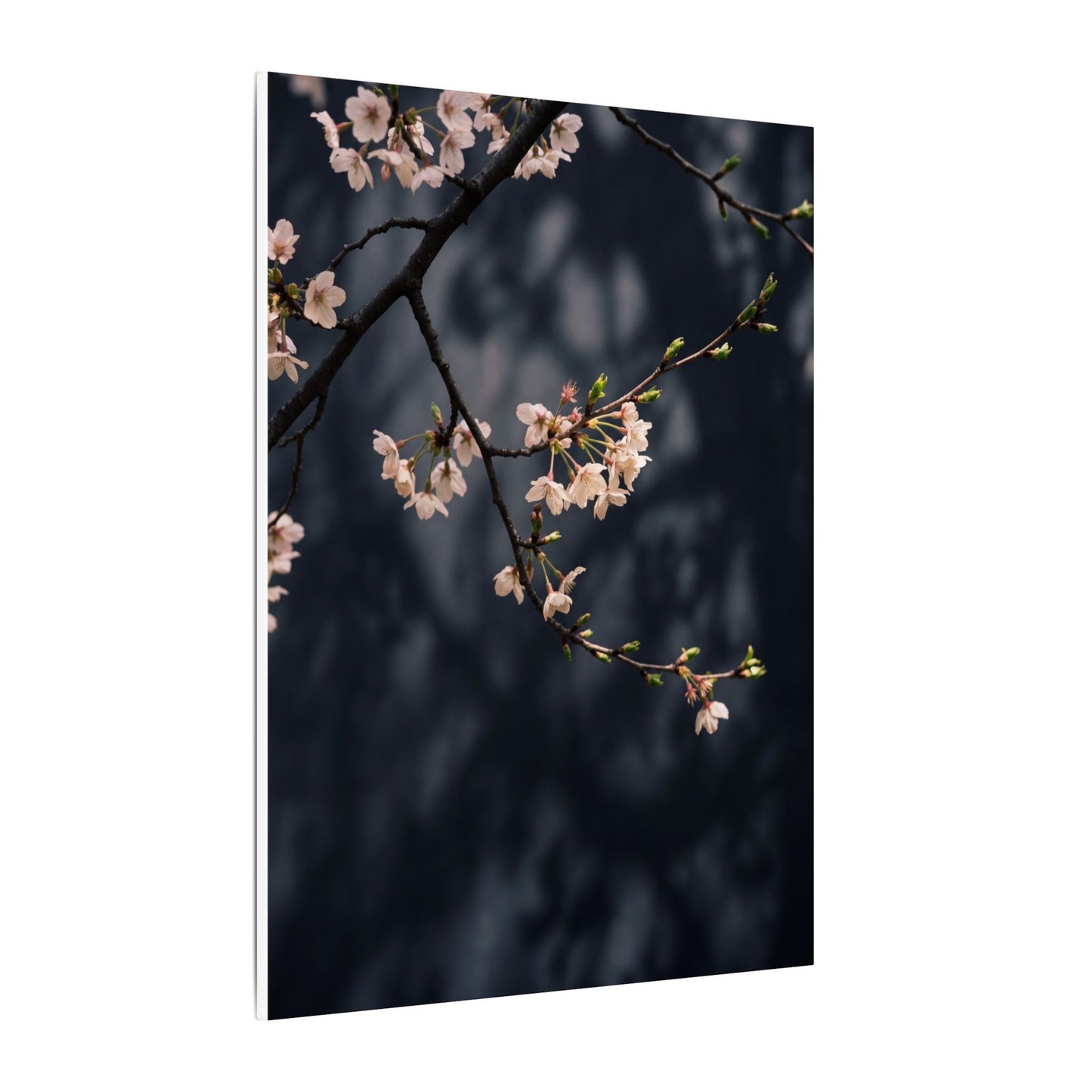Cherry Blossom Moody Minimal Canvas Art | Bold Dark Japandi Art