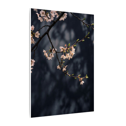 Cherry Blossom Moody Minimal Canvas Art | Bold Dark Japandi Art