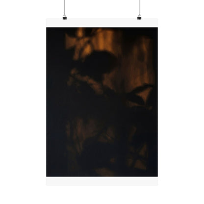Shadow Play Summer Wall Art Print | Dark Japandi Atmospheric Design Art Print