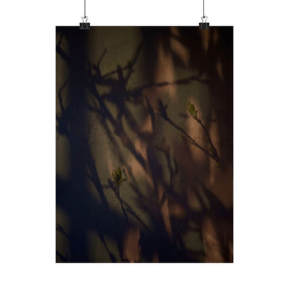 Shadow Play Spring Wall Art Print | Dark Japandi Sophisticated Design