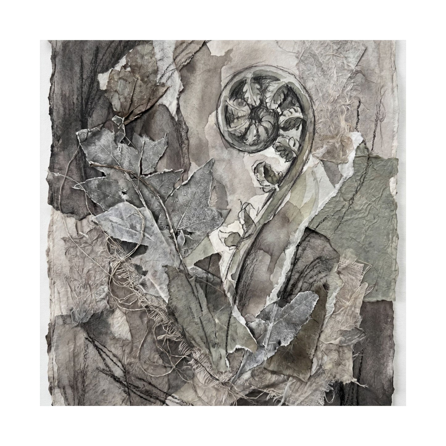 Mono No Aware Fern Unfurling Wall Art Print - Japandi Texture