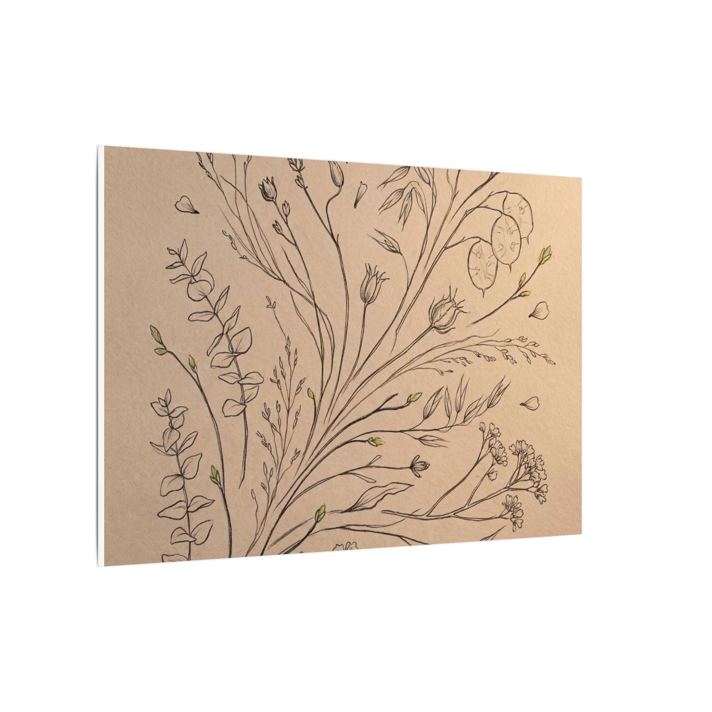 Dried Flowers Canvas Art | Spring Japandi Minimal Line Art