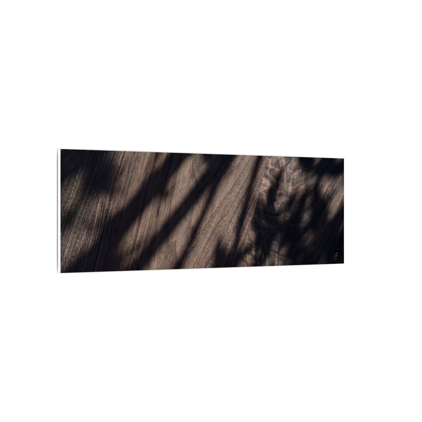 Shadow Play Summer Canvas Art | Dark Japandi Moody Design